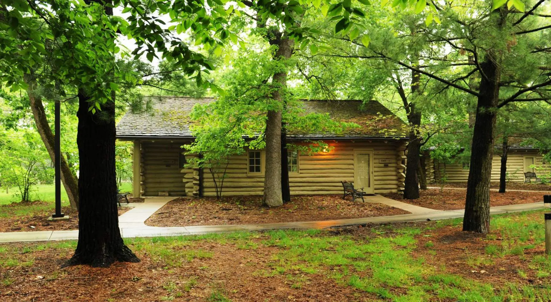 Cabine di legno tra gli alberi