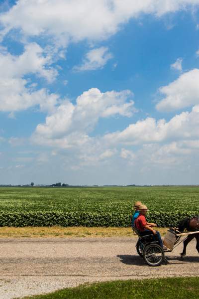 Due persone sedute in un buggie Amish trasportato da cavalli in campagna