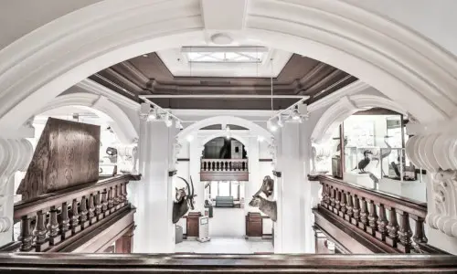 Interni bianchi del museo