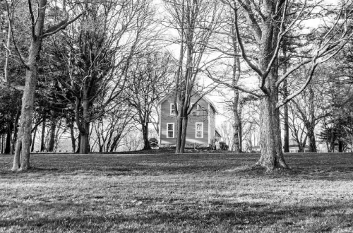 Una casa tra gli alberi