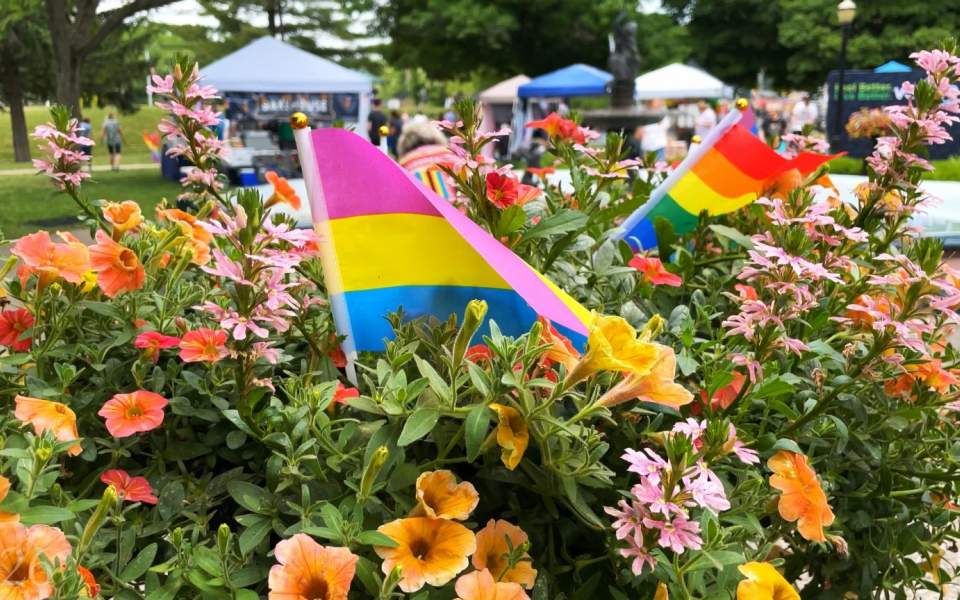 Festival in Illinois Enjoy Illinois