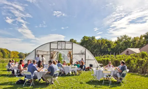 Gruppi di persone sedute attorno a tavoli all'aperto, al sole, si godono il cibo e le bevande