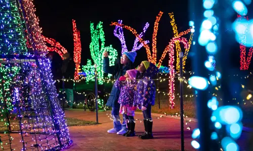 Rockford tutta illuminata