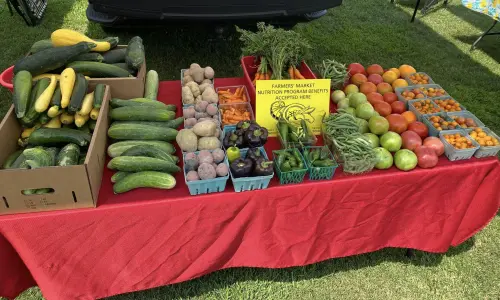 Un tavolo di prodotti freschi al mercato agricolo di Benton