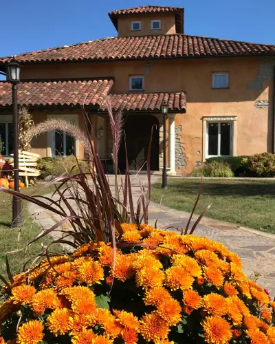 Una casa-vigneto con fiori