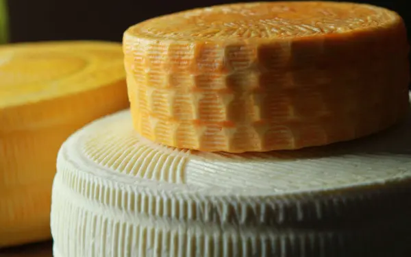 Due forme di formaggio prodotte dalla Marcoot Jersey Creamery di Greenville 