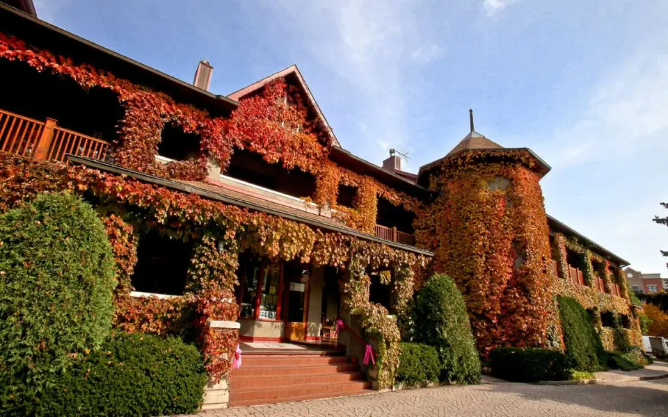 L'esterno dell'edificio ricoperto di foglie arancioni durante l'autunno