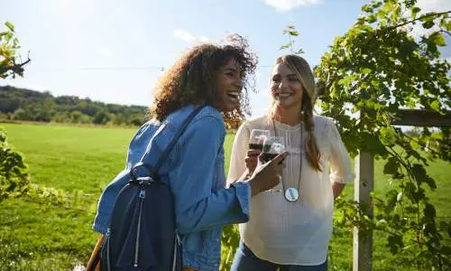 Due ragazze ridono gustando vino rosso in un vigneto