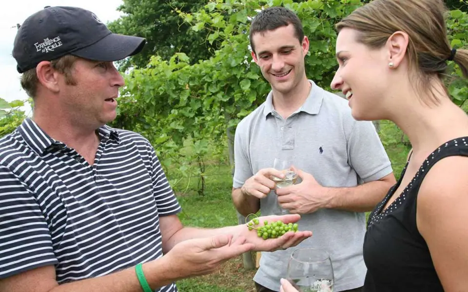 Un enologo parla dei vitigni con i visitatori di Galena Cellars Vineyard and Winery.