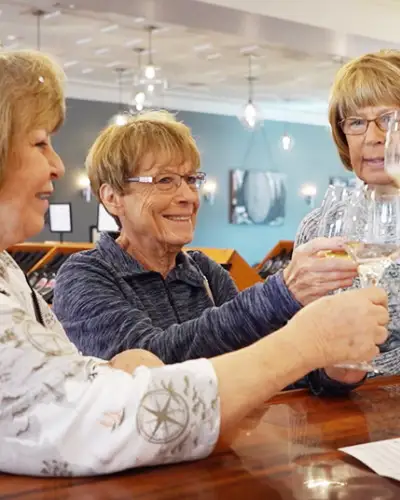 Donne che brindano con bicchieri di vino