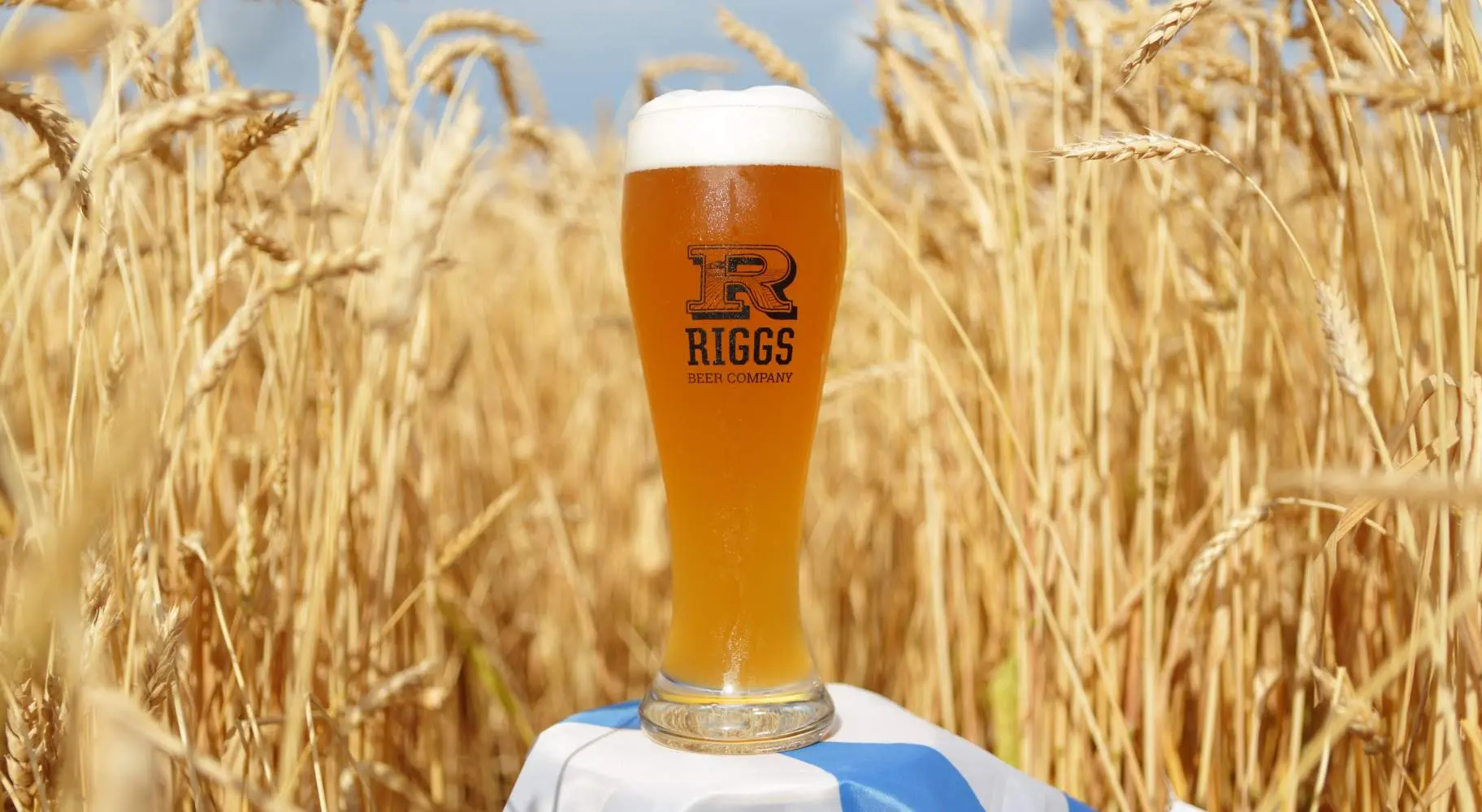 Birra Riggs in mezzo a un campo.