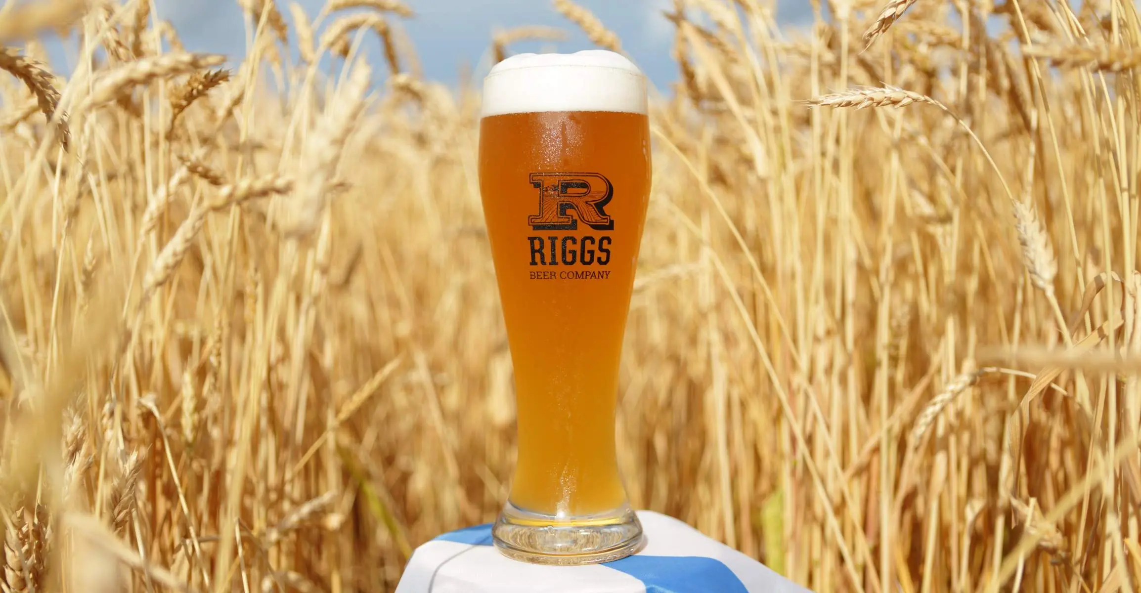 Birra Riggs in mezzo a un campo.