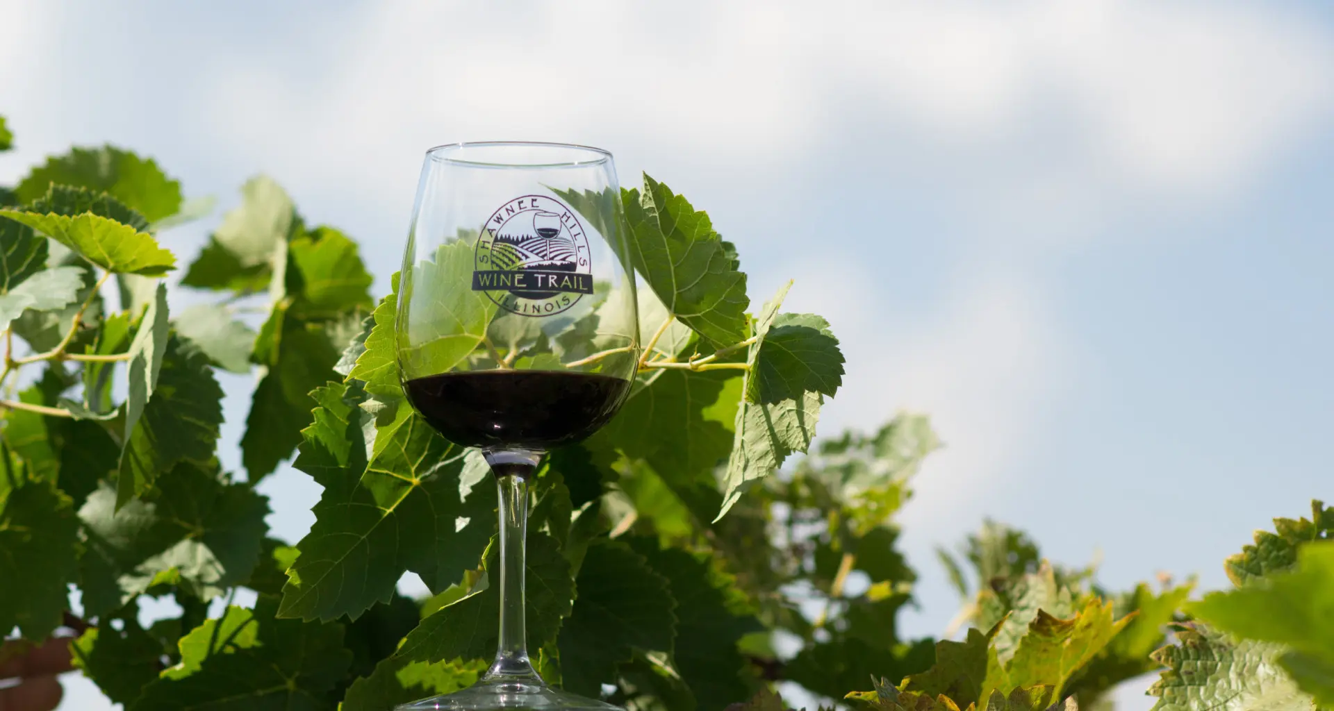 Un bicchiere di vino in un vigneto