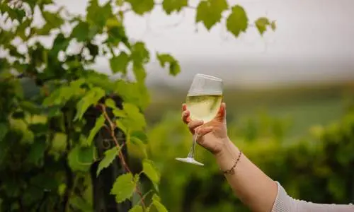 Un vino bianco sullo sfondo di un vigneto