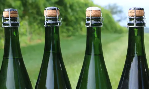 Vino