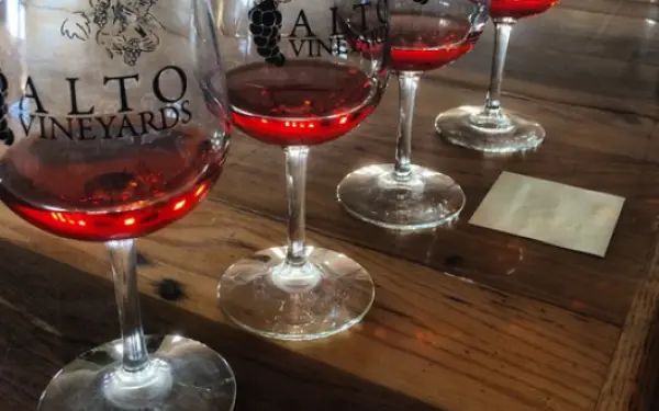 Bicchieri di vino allineati nella sala di degustazione del Vigneto Alto.