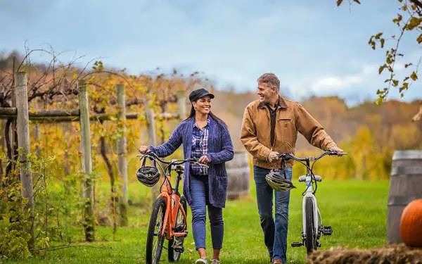 Due persone che passeggiano in bicicletta in un vigneto