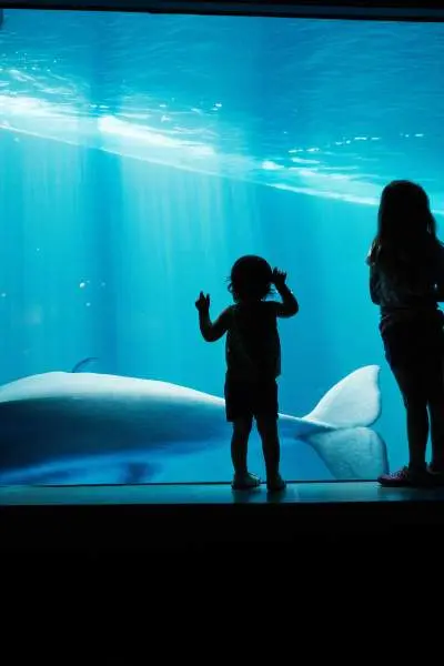 Bambini che guardano l'acquario