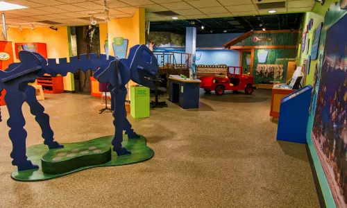 Esposizione al Museo dei bambini dell'Illinois