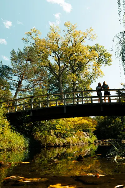 Giardini giapponesi Anderson