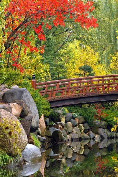 Un ponte attraversa uno stagno circondato dal fogliame autunnale