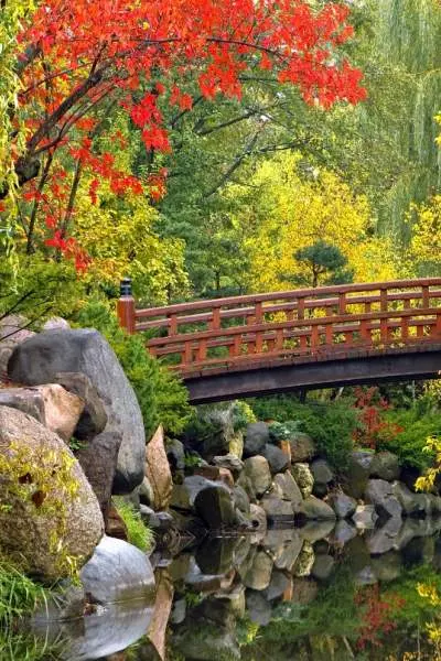 Un ponte attraversa uno stagno circondato dal fogliame autunnale