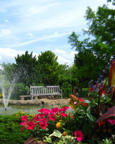 Un giardino con uno stagno, una sedia e alcuni fiori