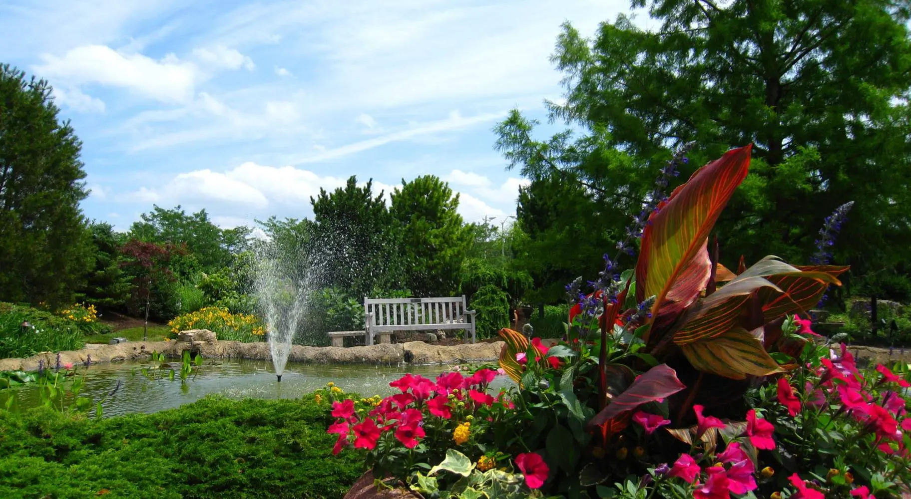 Un giardino con uno stagno, una sedia e alcuni fiori