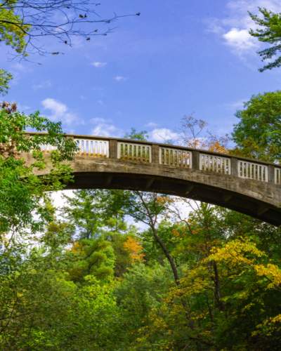 Un ponte che si estende tra due aree boschive, sotto un cielo azzurro