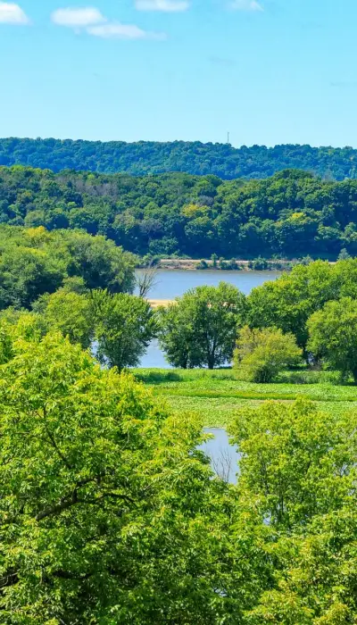 Fiume e alberi di Casper Bluff