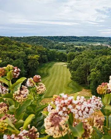Panoramica del campo da golf e degli alberi