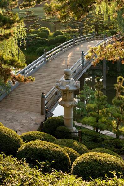 Un giardino con un ponte