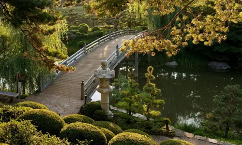 Un giardino con un ponte