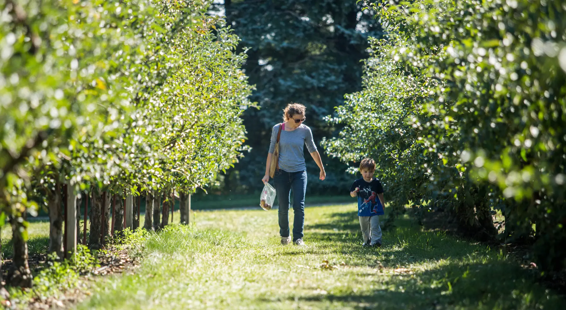 Madre e figlio a passeggio nel frutteto