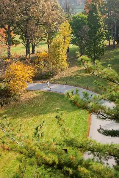 Una persona percorre il Morton Arboretum durante l'autunno