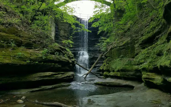 Una cascata che scende dalle rocce in una piscina con tanto verde e muschio