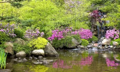 Laghetto del Giardino Anderson.