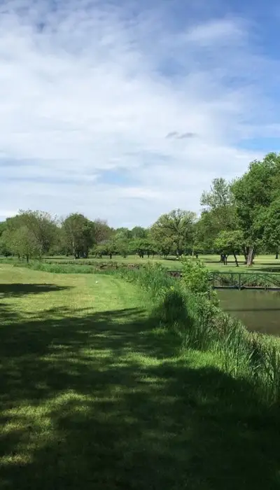 Campi verdi e alberi