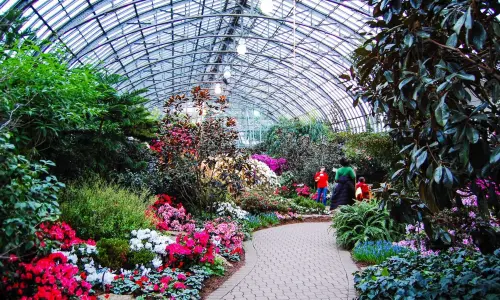 Parco interno pieno di fiori e di verde. 