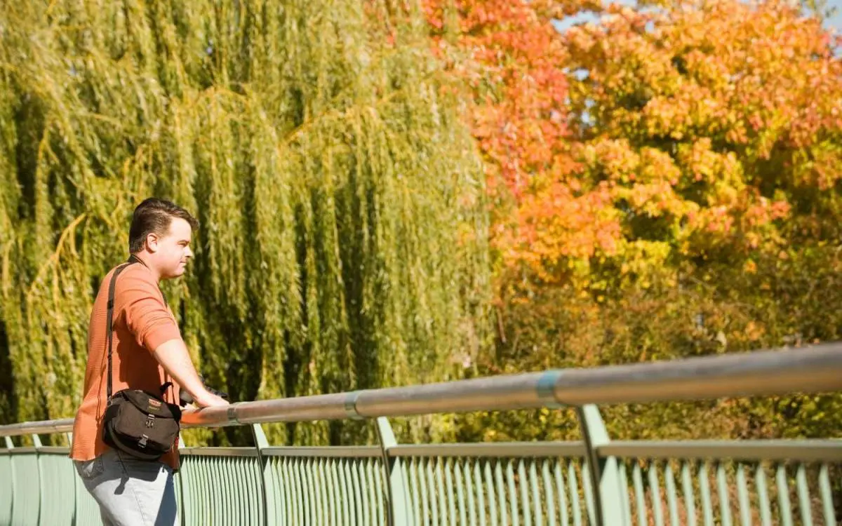 Un uomo in piedi su un ponte con vista sugli alberi colorati d'autunno