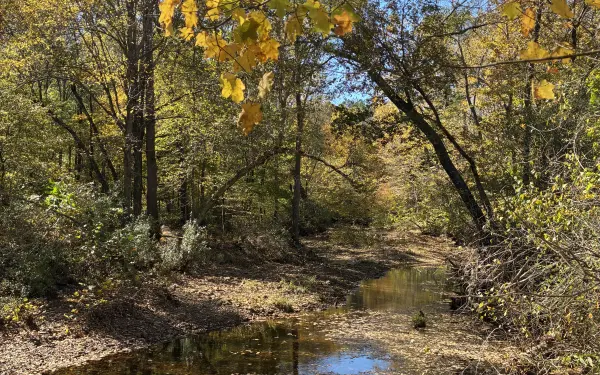 I colori dell'autunno in Illinois