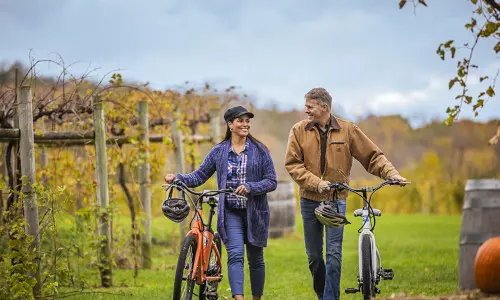 Una coppia a passeggio con la bicicletta tra le vigne