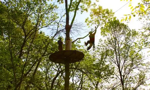 Una persona vola tra le cime degli alberi