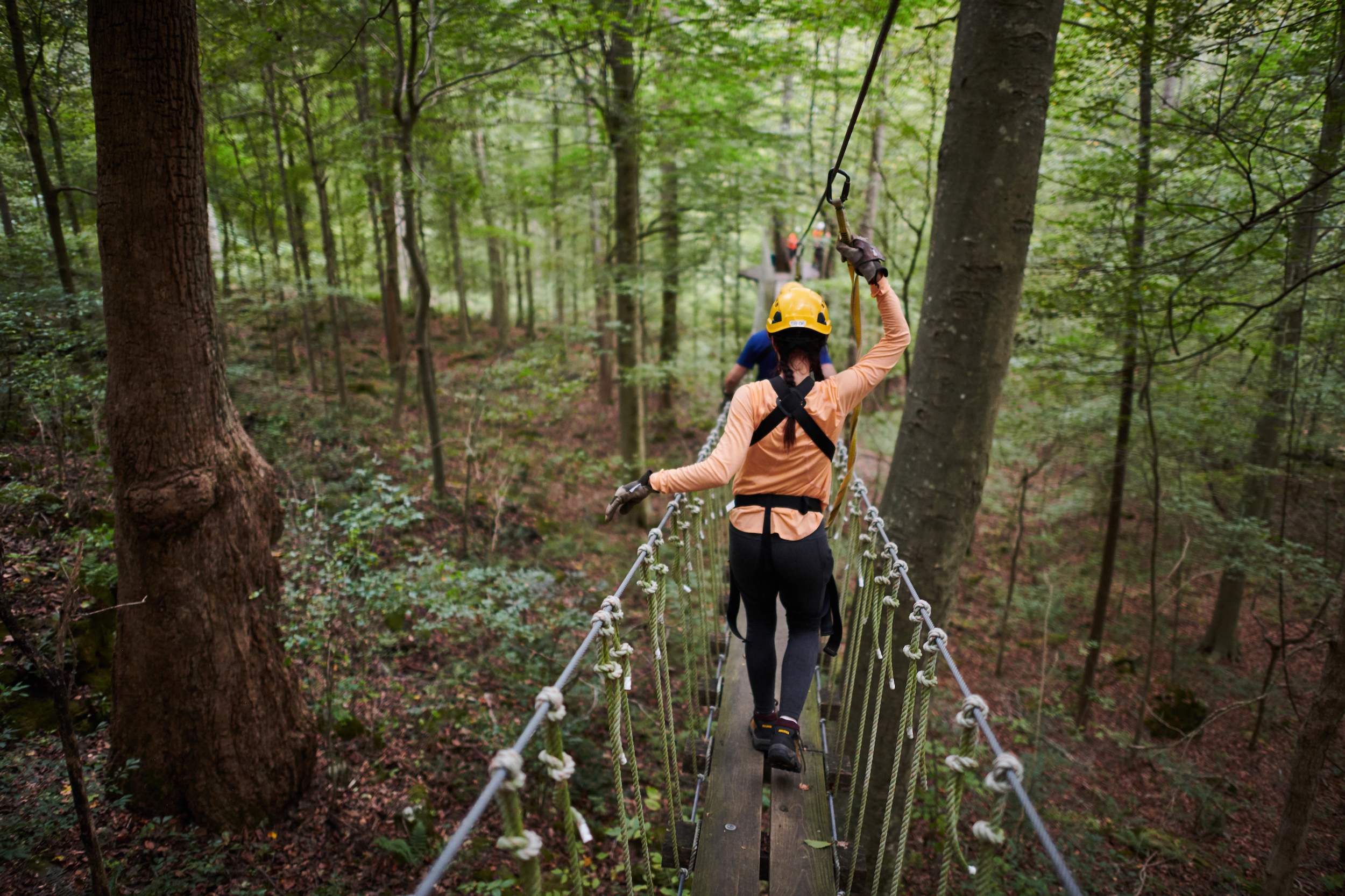 Persone su un ponte che attraversano le foreste con imbracature e caschi di sicurezza al Canopy Tours.