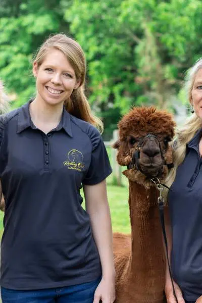 Due donne che tengono in braccio degli alpaca