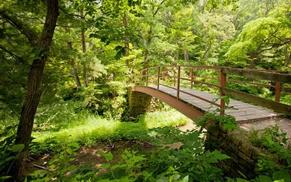 Una passerella a Starved Rock circondata dalla foresta