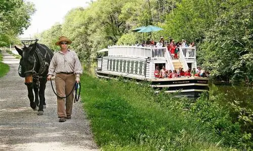 Una donna porta a spasso un cavallo lungo il canale mentre passa il battello dell'I&M canal