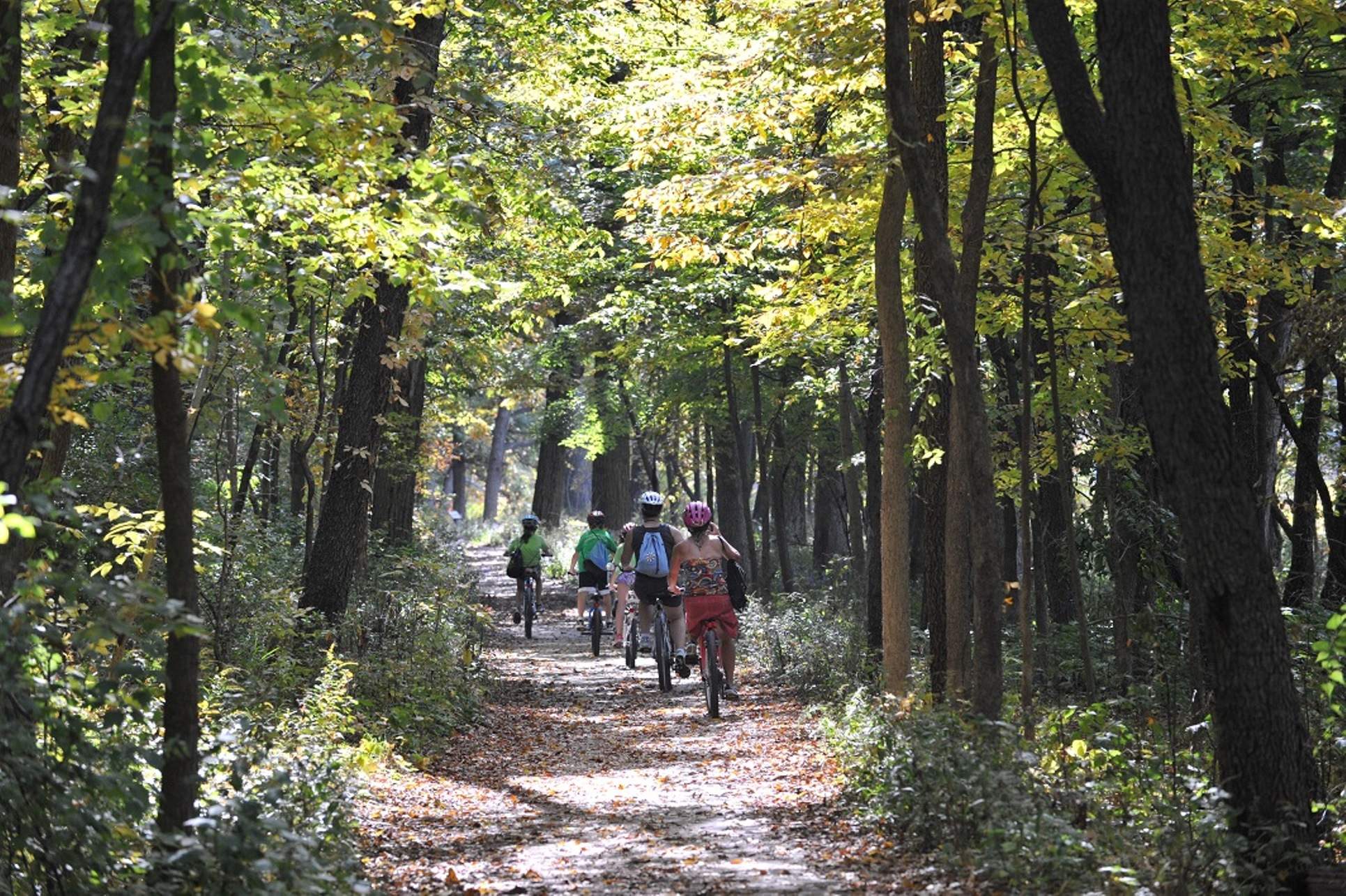 Un gruppo di persone in bicicletta lungo il Fox River Trail, tra gli alberi del bosco