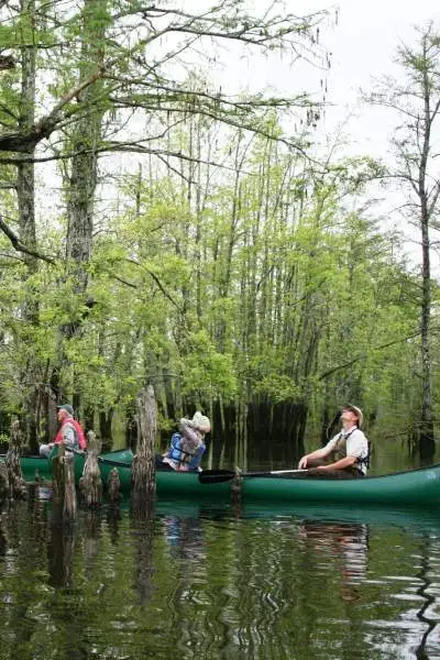 Persone su una barca che remano tra acqua e alberi