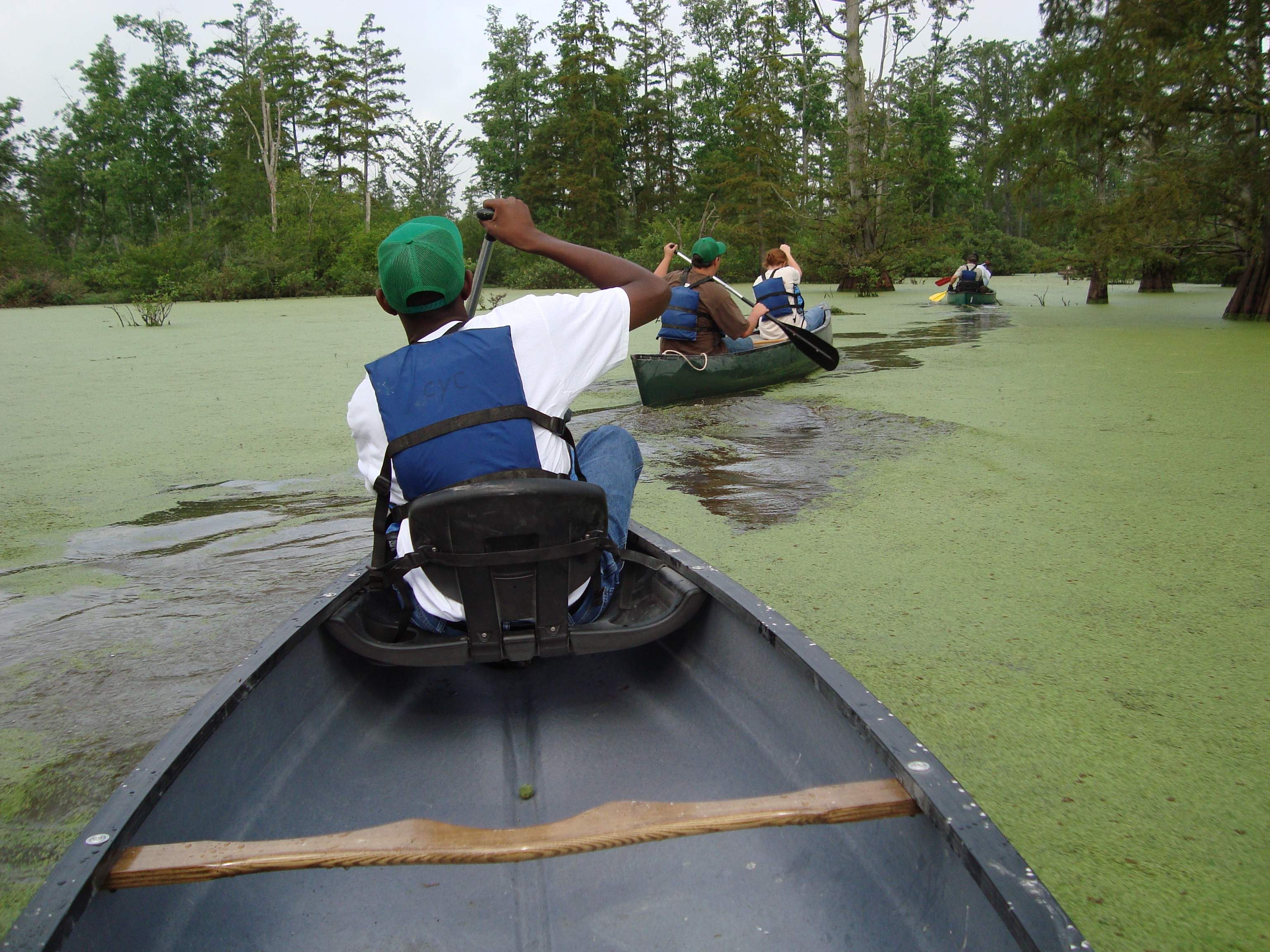 Tre canoe attraversano l'acqua nelle zone umide del fiume Cache